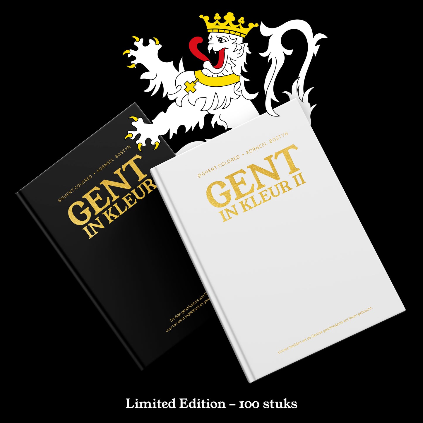 Fotoboek Gent in kleur