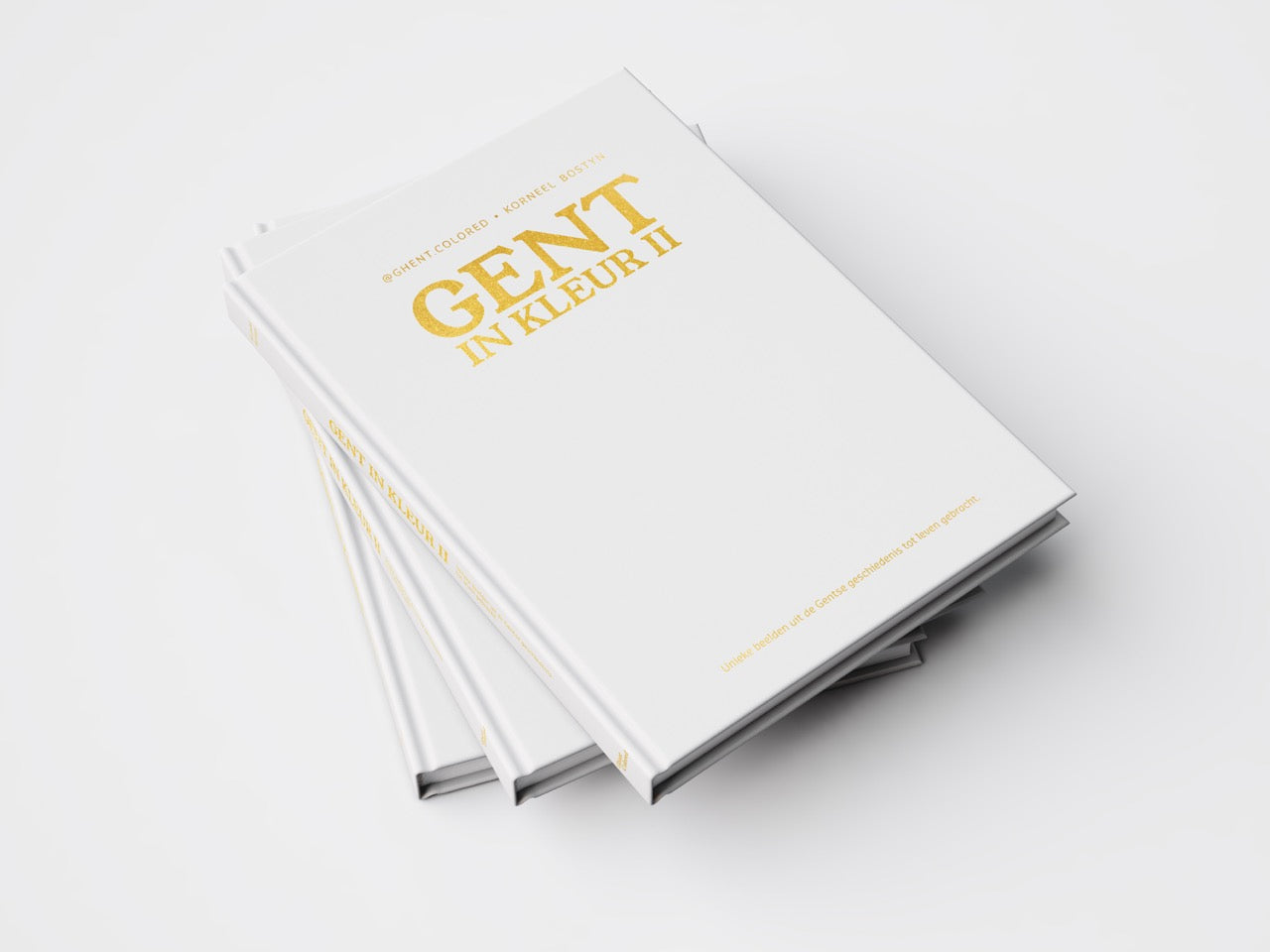Fotoboek Gent in kleur II
