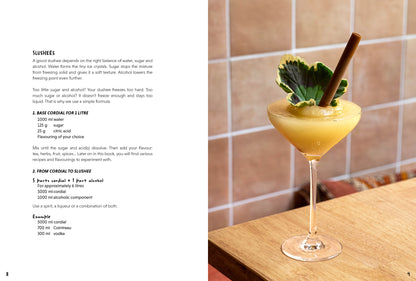 (EN) (PRE-ORDER . release 16/12/'26) - Ran Van Ongevalle - Drink about it (EN)