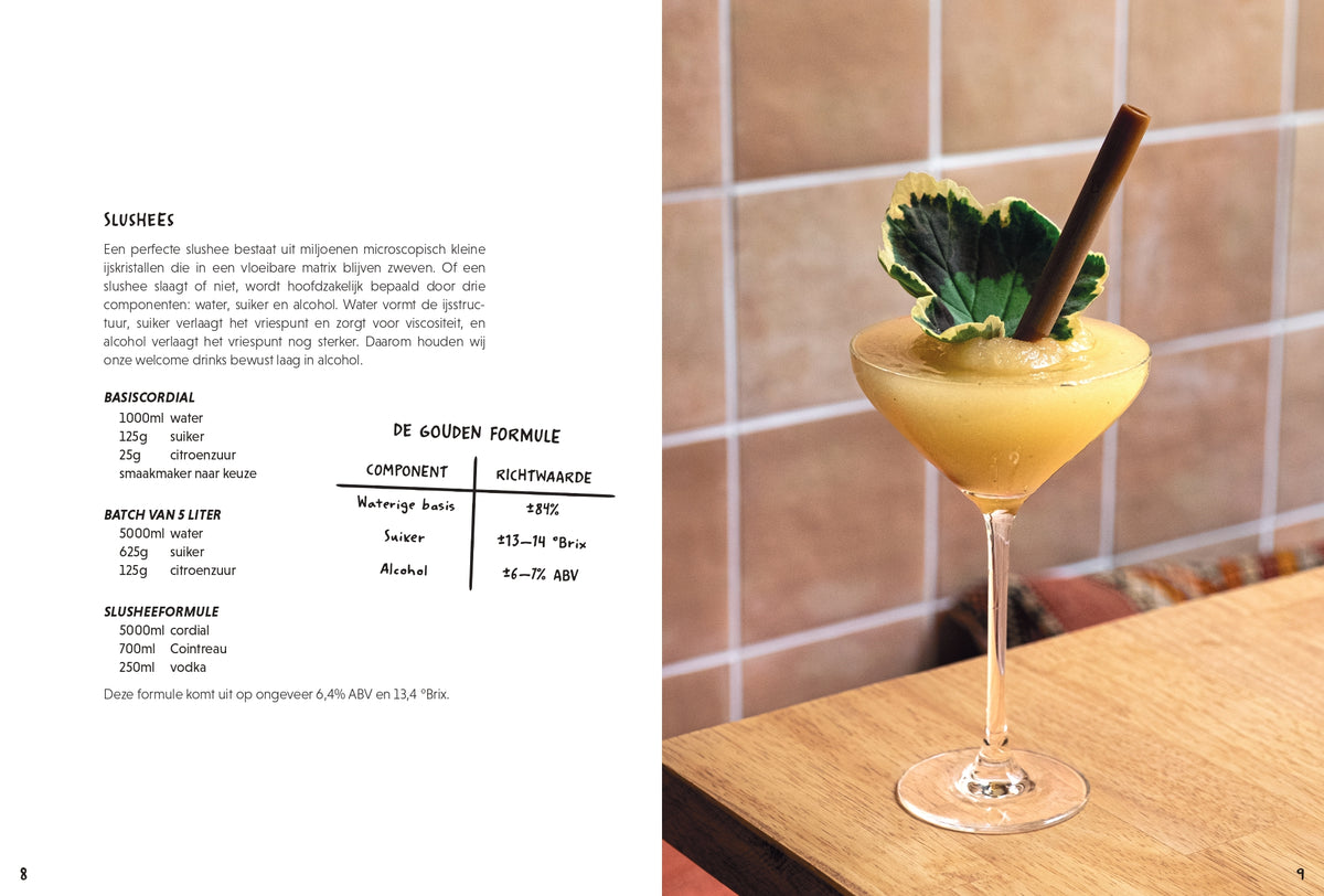 (PRE-ORDER . release 16/11/'26) - Ran Van Ongevalle - Drink about it (NL)