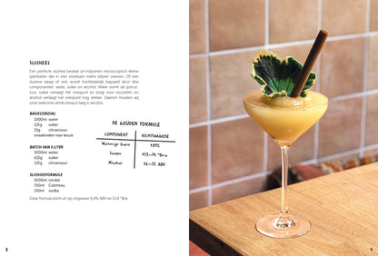 (PRE-ORDER . release 16/11/'26) - Ran Van Ongevalle - Drink about it (NL)