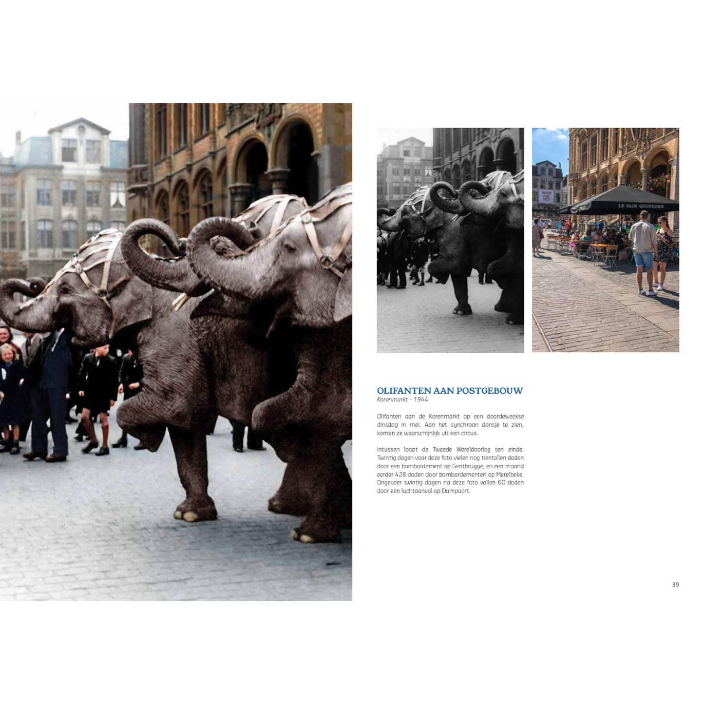 Fotoboek Gent in kleur